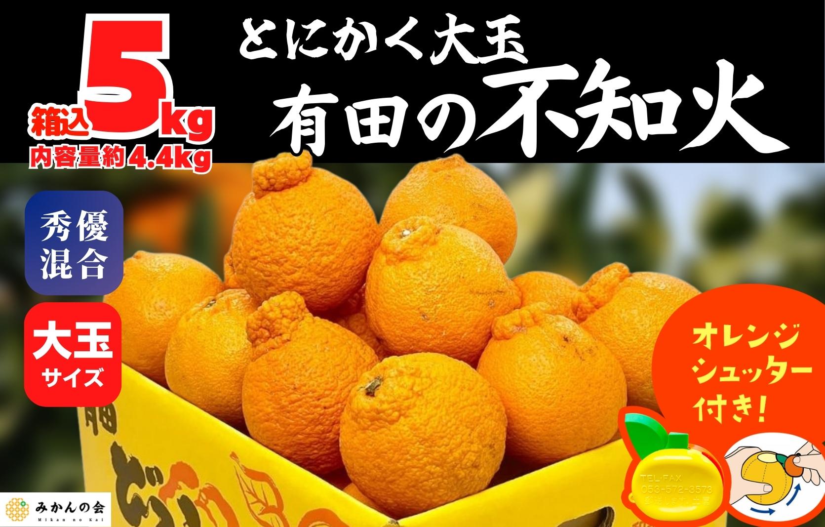 不知火 大玉 どっこいしょ 箱込 5kg (内容量約 4.4kg) 秀優混合 和歌山県産［みかんの会］