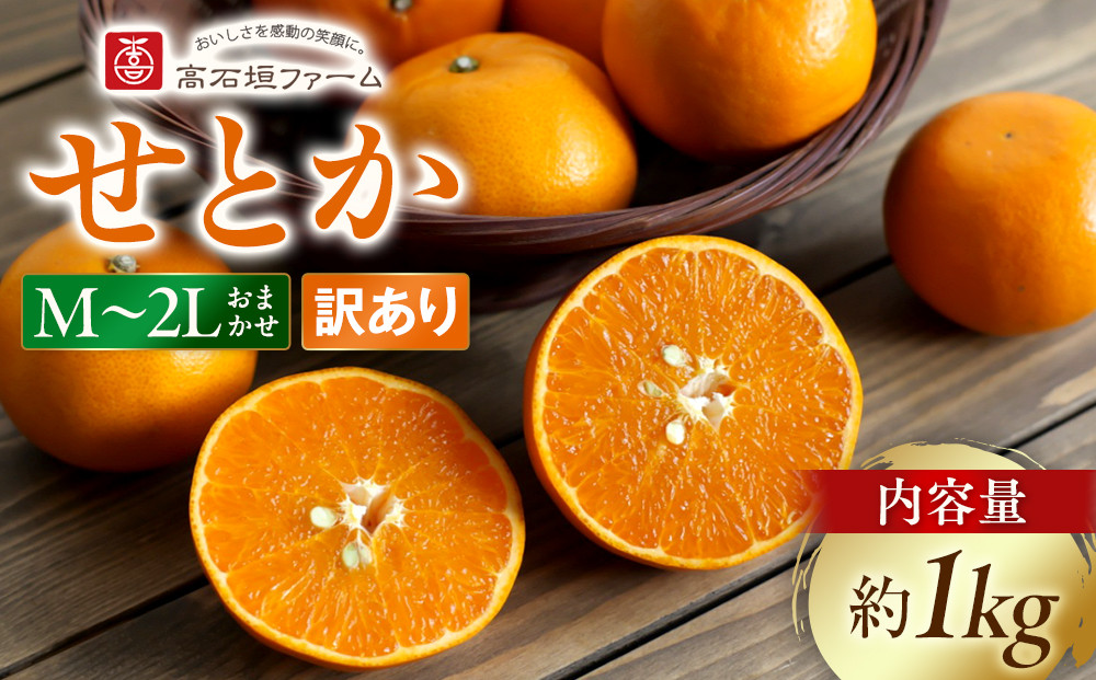 訳あり せとか 1kg M～2Lサイズおまかせ 高石垣ファーム