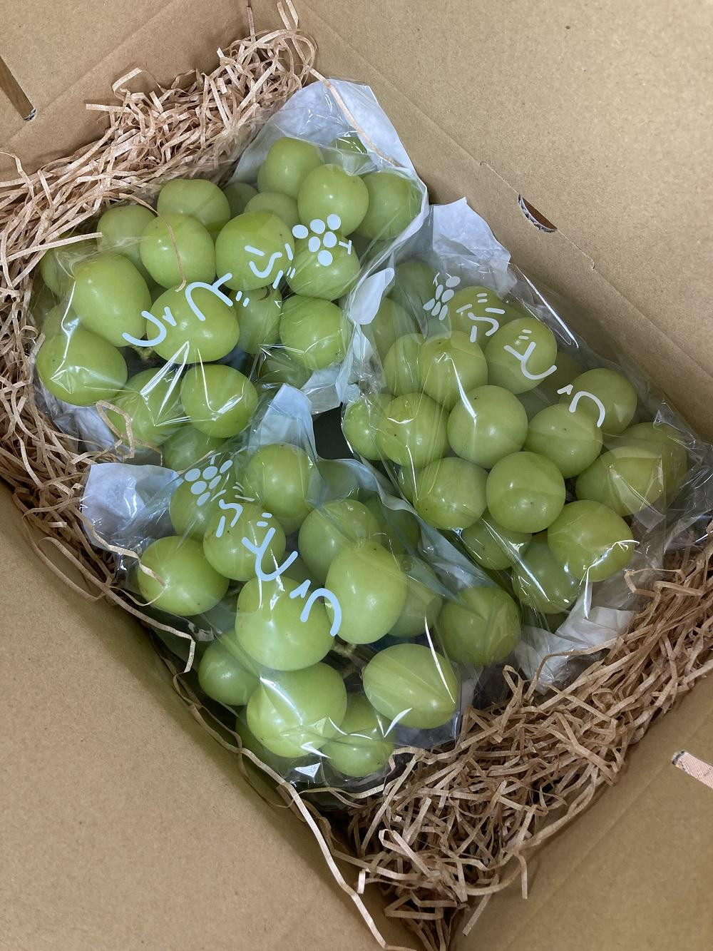 【先行予約】有田産 シャインマスカット 約 2kg 有田巨峰村 森下農園 ぶどう 送料無料 フルーツ マスカット シャインマスカット★2026年9月上旬から順次発送