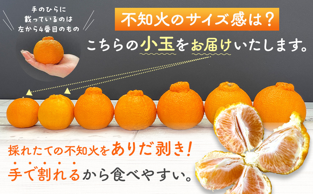 不知火 とにかく 小玉 箱込10kg (内容量約 9.2kg)  秀優品混合 和歌山県産 産地直送［みかんの会］