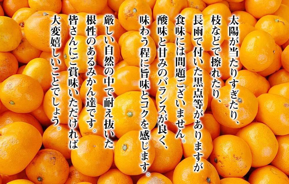 みかん 大玉 どっこいしょ 箱込 10kg ( 内容量約 9.2kg ) 2Lサイズ以上 秀品 優品 混合 有田みかん 和歌山県産 産地直送 家庭用［2026年11月中旬より順次出荷予定］［みかんの会］
