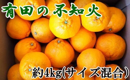 ［濃厚］有田産不知火約4kg（2L～5Lサイズ混合）★2027年2月中旬頃より順次発送