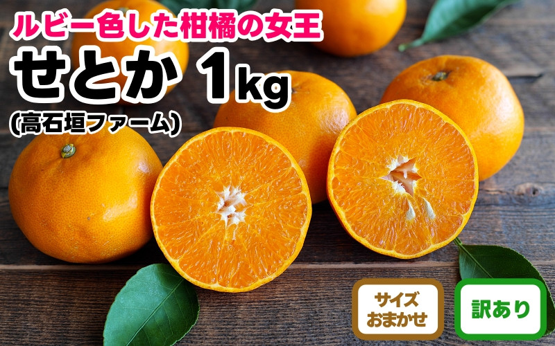 訳あり せとか 1kg M～2Lサイズおまかせ 高石垣ファーム