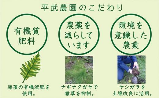 無添加100％みかんジュース2本セット【平武農園】～蛍飛ぶ町から旬の便り～