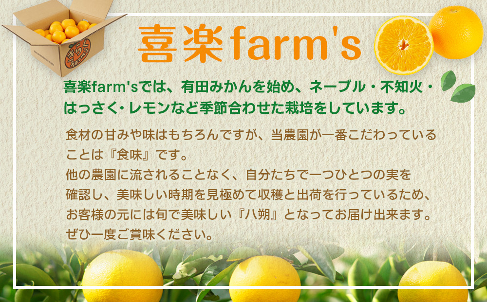 【産地直送】☆八朔☆サイズ混載（M～2L）☆9kg