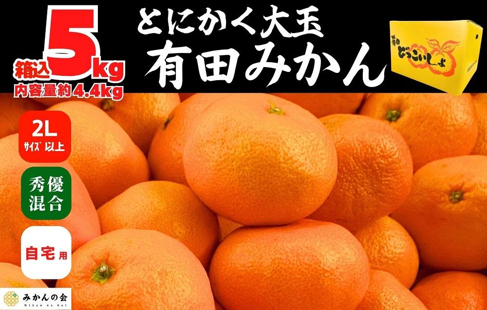 みかん 大玉 どっこいしょ 箱込 5kg ( 内容量約 4.4kg ) 2Lサイズ以上 秀品 優品 混合 有田みかん 和歌山県産 産地直送 家庭用［2026年11月中旬より順次出荷予定］［みかんの会］