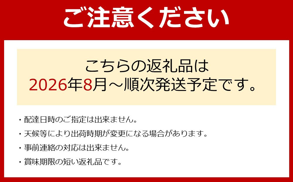 ［先行予約］[新鮮・産直]和歌山有田産のたねなし巨峰約1kg★2026年8月上旬頃より順次発送