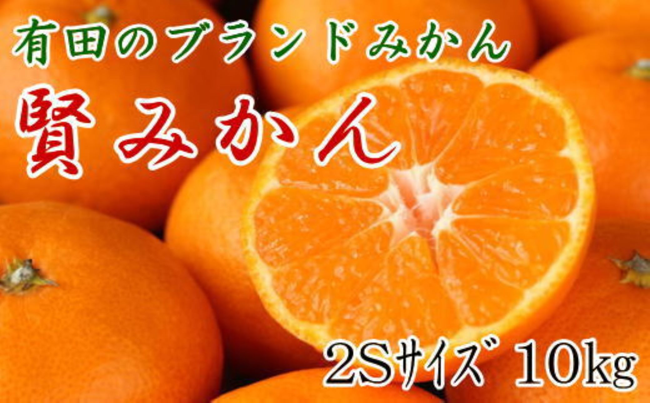 [秀品]有田のブランドみかん「賢みかん」10kg （2Sサイズ）［2026年11月中旬頃より順次発送］