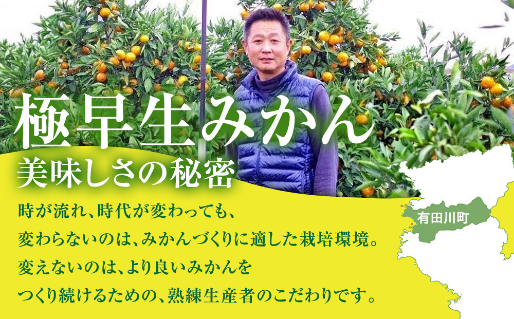 有田みかん専門店 有田の太陽®ファミリー 極早生 有田みかん 2.5kg＋補償分100g 山採れ・サイズ・等級 混合