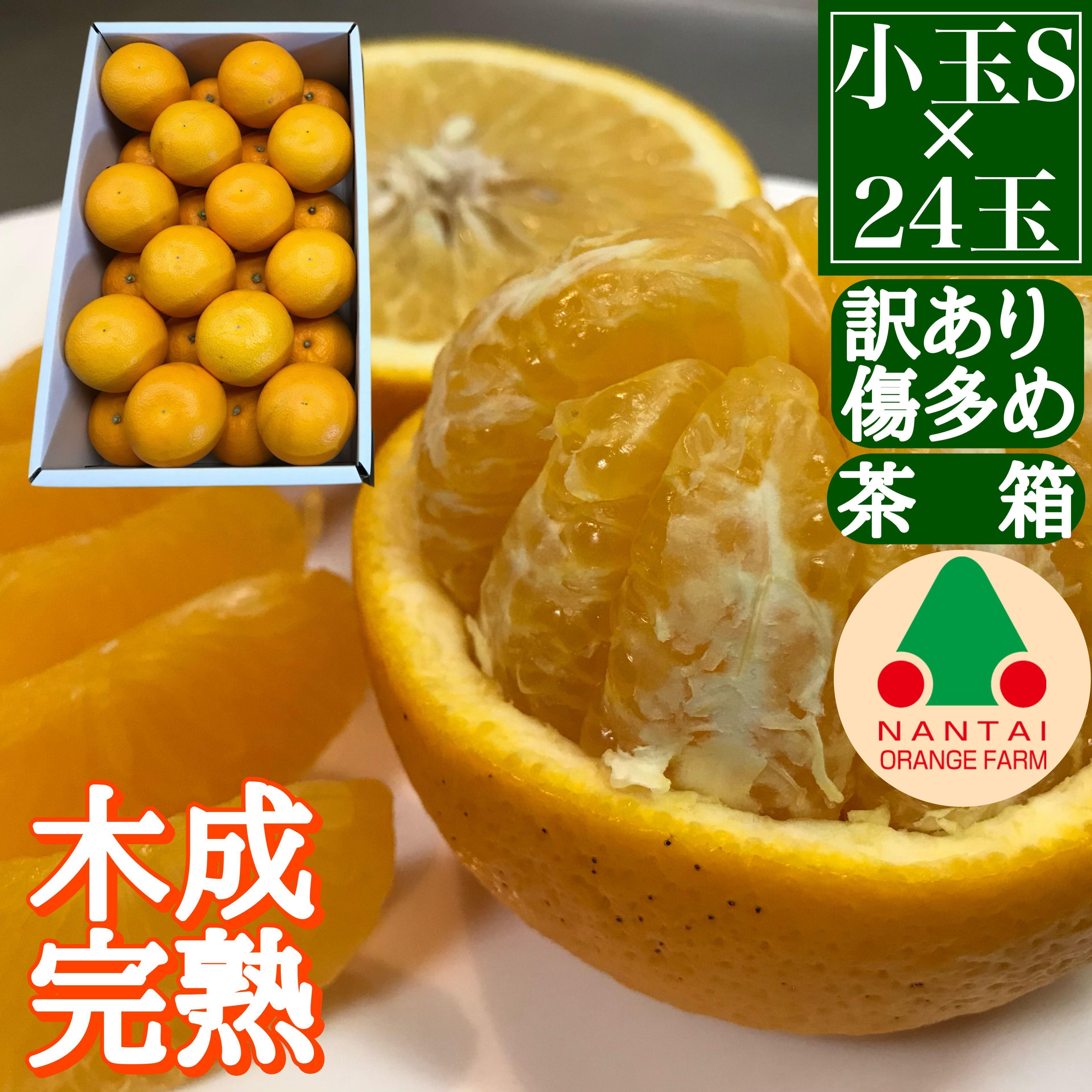 訳あり 傷多め 4月 まで 木成 完熟 させた 有田 はっさく S × 24玉 茶箱 南泰園 みかん