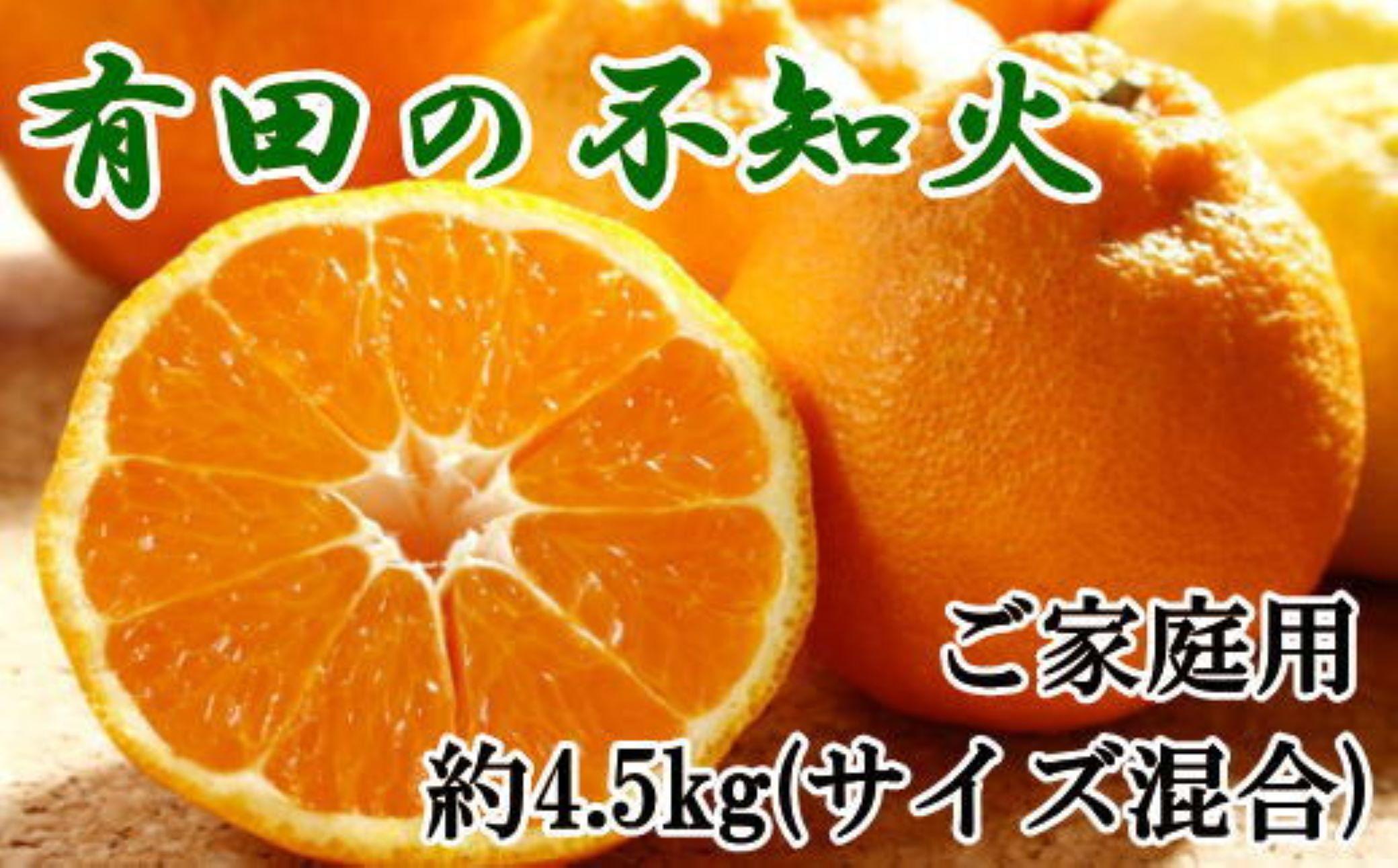 ご家庭用 濃厚 有田の不知火 約4.5kg サイズ混合★2027年2月中旬より発送★ 