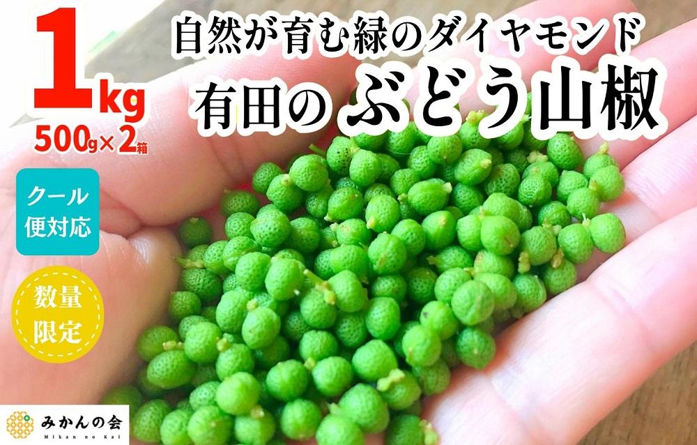 ［5月下旬出荷予定］ぶどう山椒 １kg（500g×2箱） 実山椒 生山椒 クール便対応 和歌山県産