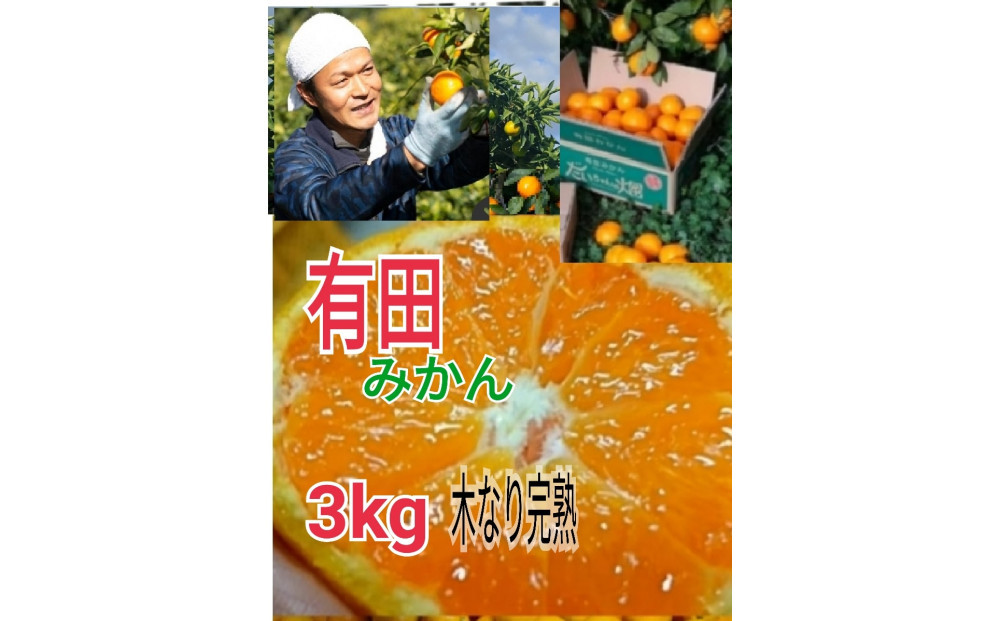 ［先行予約］［ご家庭用］有田みかん  3kg （S～2Lサイズミックス）木成り完熟 大ちゃんの畑農園