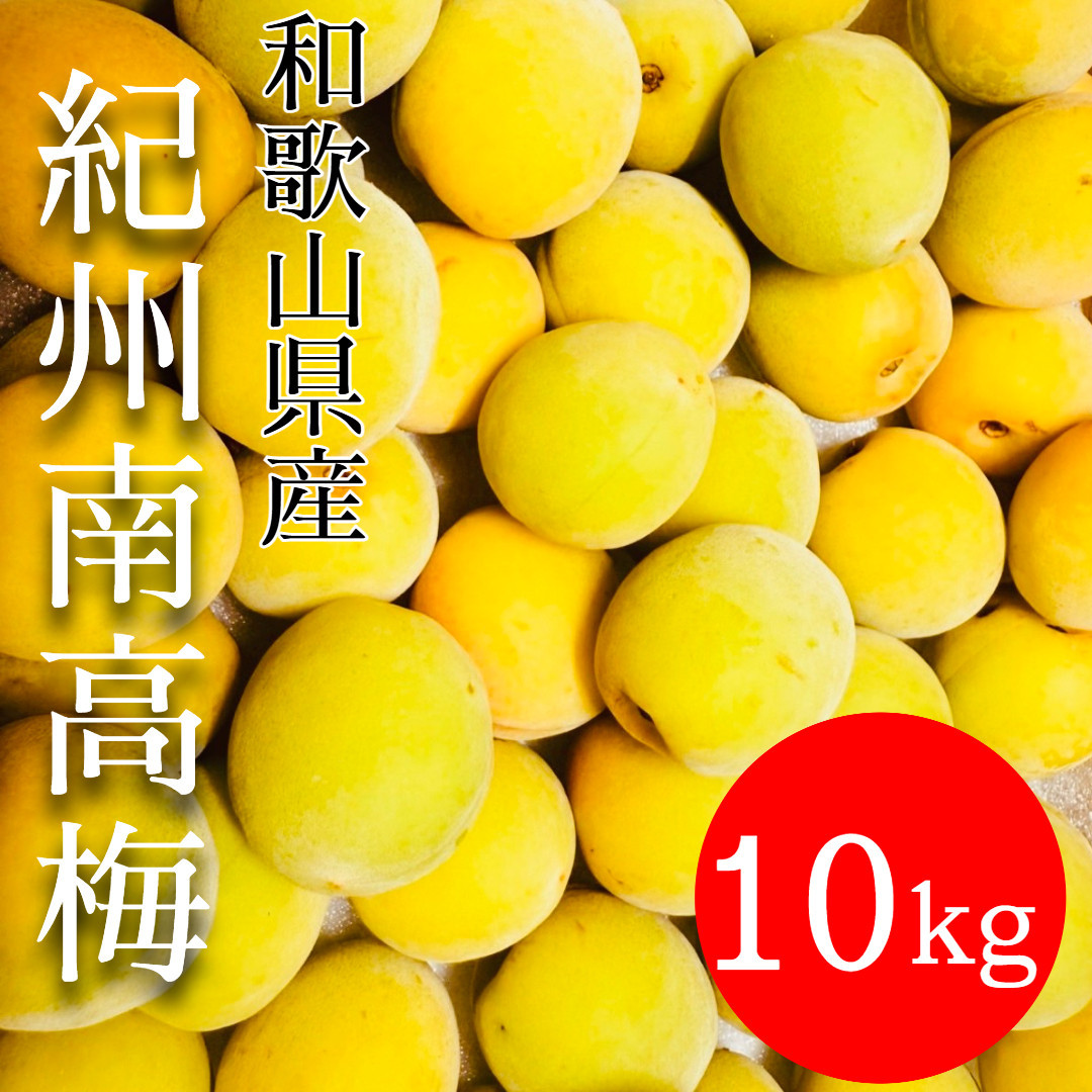 黄色～完熟梅 南高梅 10kg