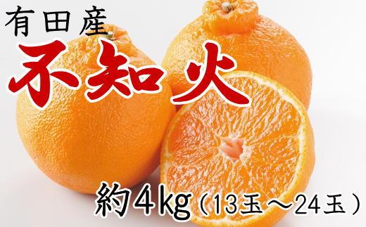 ［濃厚］有田の不知火約4kg（13～24玉）★2027年2月中旬頃より順次発送［TM32w］