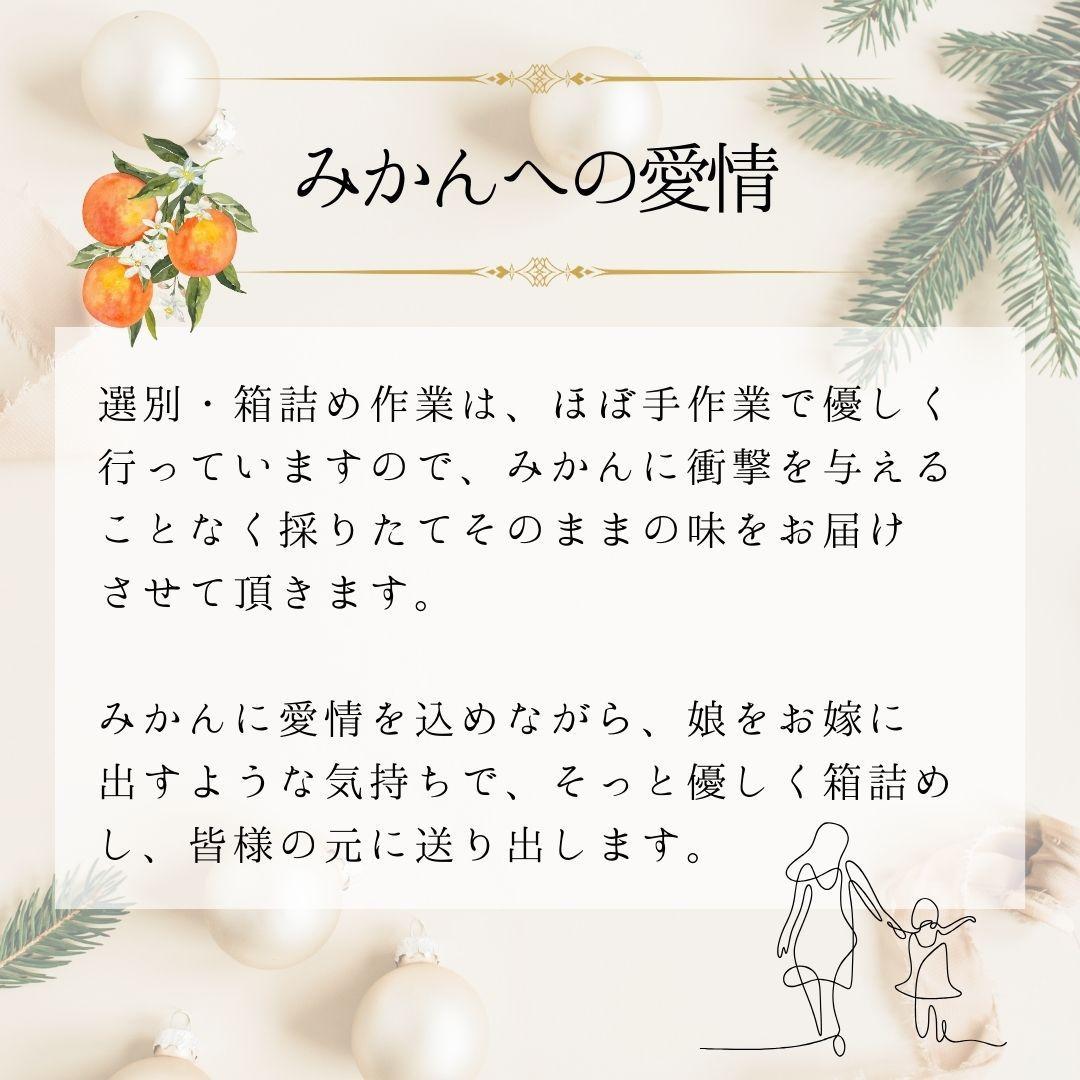 ã¿ããæºè¶³ã»ããL | å®æäŸ¿ å
š3å ãã«ãŒã ã¿ãã äžç¥ç« ã¿ãããã¿ãŒ 12æïœ2æ