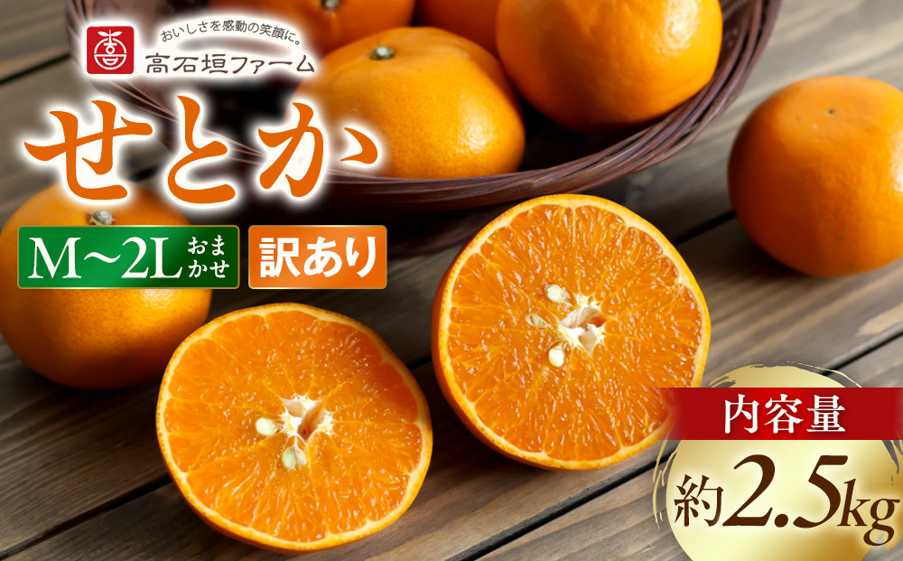 訳あり せとか 2.5kg M～2Lサイズおまかせ 高石垣ファーム