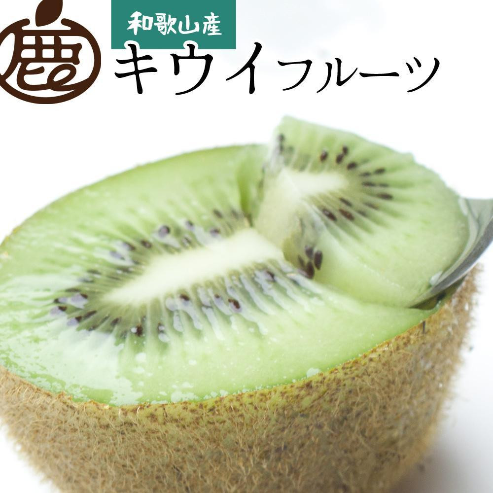［先行予約］厳選 キウイ10kg+250g（傷み補償分）［扁平果］