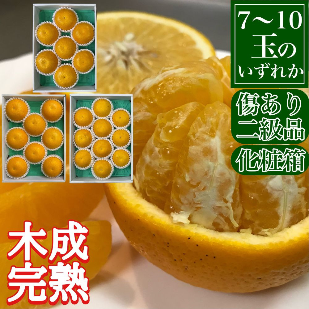å®æäŸ¿ æ¥ã«æ¥œãã ããŠã¹ ããšã ïŒ æšæ å®ç æç° ã¯ã£ãã å·ãã äºçŽå ã»ãã å
š2å åæ³°å