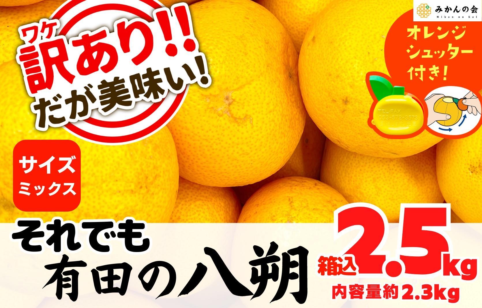 八朔 訳あり それでも 有田の八朔  (はっさく) 箱込 2.5kg (内容量約 2.3kg) サイズミックス B品 和歌山県産  産地直送［おまけ付き］［みかんの会］