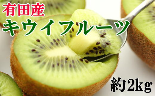 ［人気］有田産キウイフルーツ約2kg（サイズ混合）★2027年1月下旬頃より順次発送