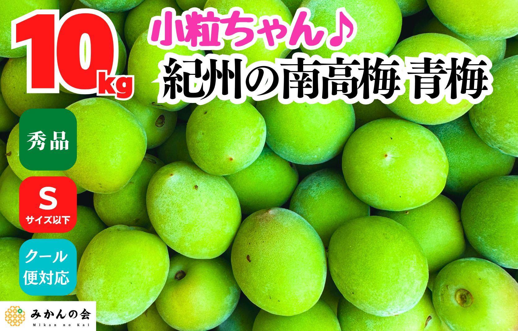 ［2026年6月上旬出荷］南高梅 青梅 秀品 小粒ちゃん 約10kg Sサイズ以下 和歌山県産 紀州有田 産地直送 クール便対応 梅酒作り用 梅ジュース作り用