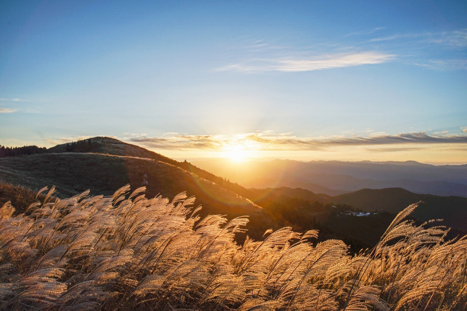 自然と共生し、快適に暮らせる生活基盤の整備