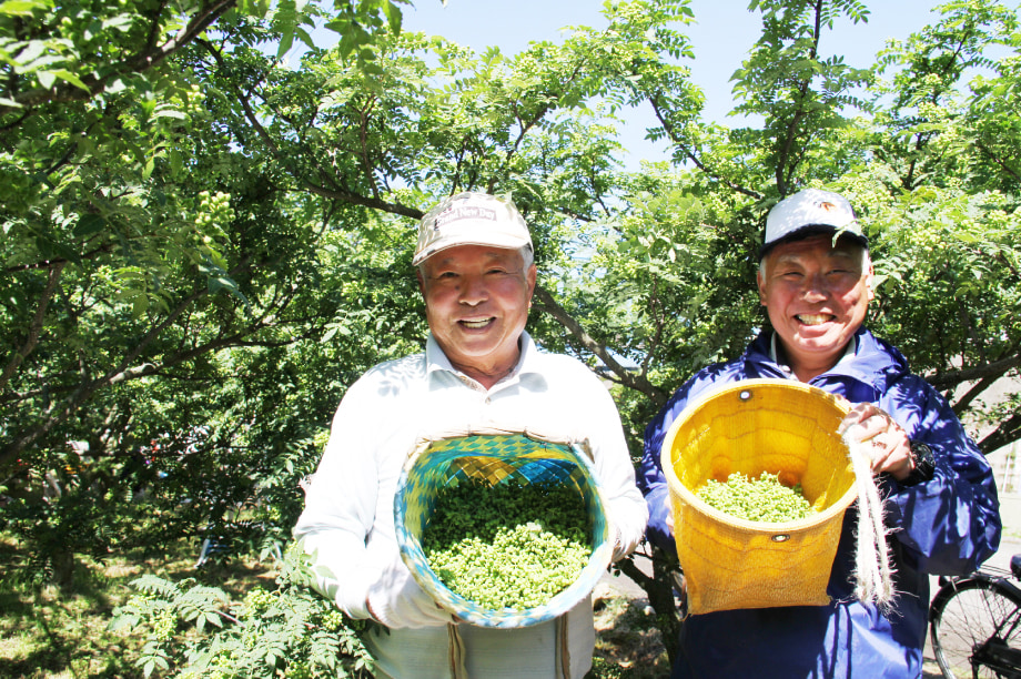 地域の特性を活かした産業・観光の活性化