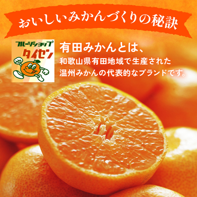 【ご家庭用】和歌山有田みかん約10kg(S、Mサイズ)【美浜町】