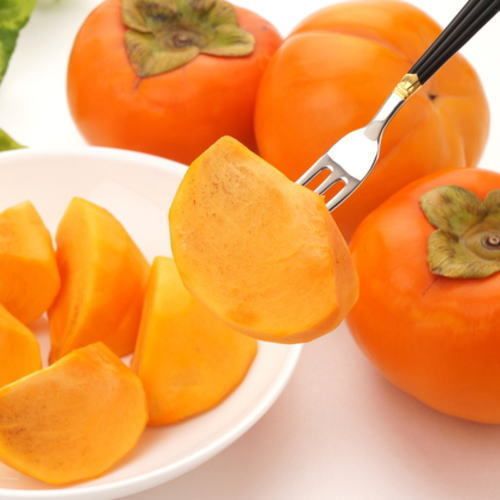 【先行予約】【秋の美味】和歌山の富有柿 約7.5kg（ご家庭用）　※2025年10月下旬～11月下旬頃に順次発送予定　※沖縄・離島への配送不可（fr-04）