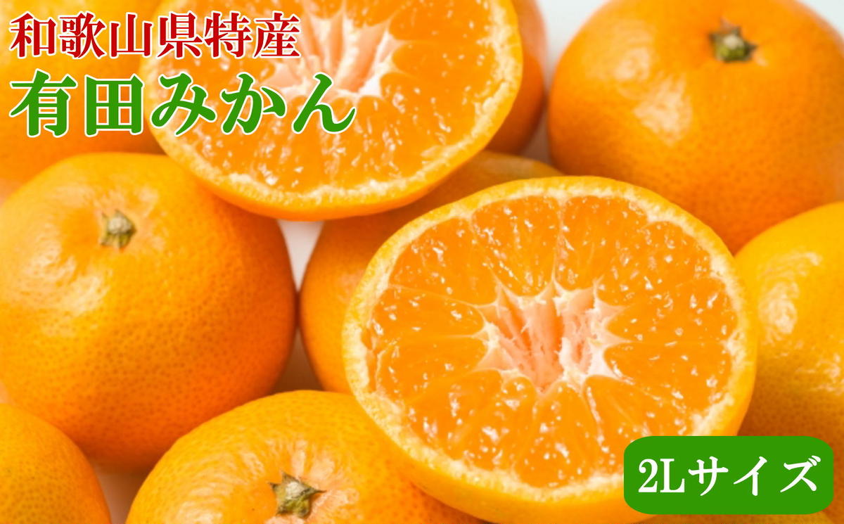 [秀品]和歌山有田みかん6kg（2Lサイズ） ※2024年11月中旬～2025年1月中旬頃に順次発送予定