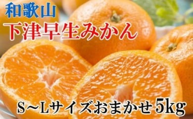 【産直・秀品】和歌山下津みかん約5kg（S～Lサイズおまかせ） ※2025年11月中旬～2026年1月中旬頃に順次発送予定