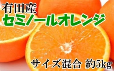 和歌山有田産セミノールオレンジ約5kg(サイズ混合) ※2024年4月上旬～4月下旬頃に順次発送予定