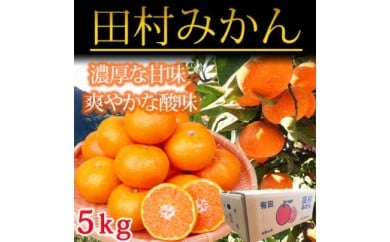 高級ブランド田村みかん　５kg
※2024年11月下旬?2025年1月下旬頃に順次発送予定