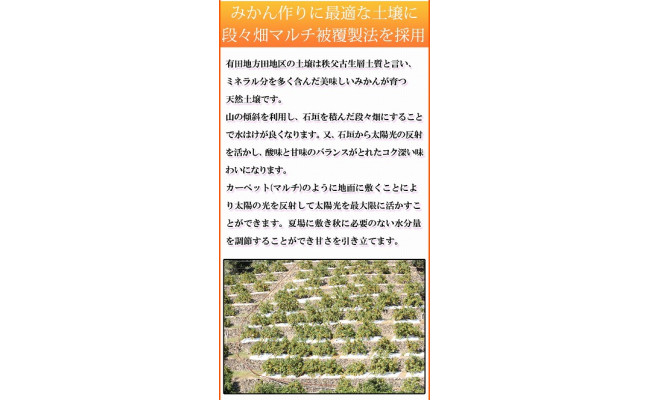 【ご家庭用訳あり】紀州和歌山有田産温州みかん7.5kg
※2024年11月下旬?2025年1月下旬頃に順次発送予定