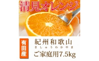 【ご家庭用訳アリ】紀州有田産清見オレンジ　７.５kg
※2025年3月下旬～4月中旬頃に順次発送予定