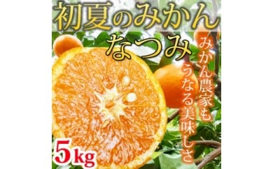 初夏のみかん なつみ５kg ふるさと納税 みかん
※着日指定不可
※2025年4月中旬～4月下旬頃に順次発送予定