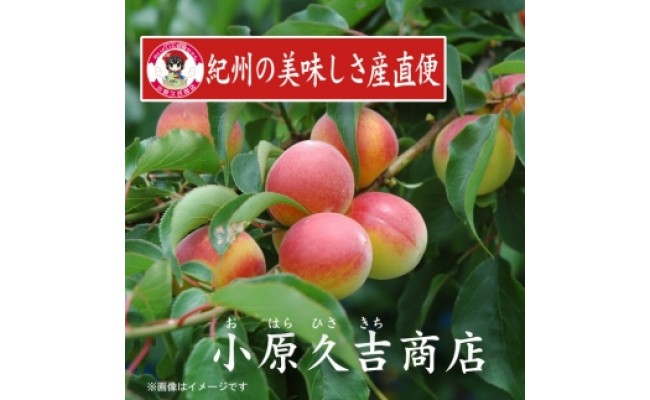 紀州南高梅うすしお味梅干し1kg梅ドレッシング1本　美浜町 ※離島への配送不可