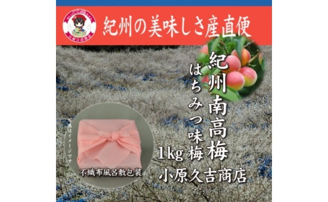 ［無地のし付］紀州南高梅はちみつ味1kg（ピンク色不織布風呂敷包み付）和歌山県産 美浜町 ※離島への配送不可