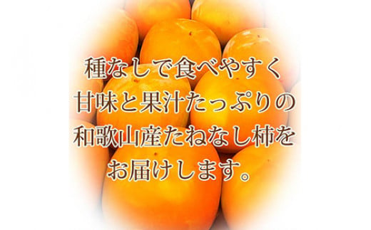 和歌山秋の味覚 平核無柿（ひらたねなしがき）約7.5kg ※2025年10月上旬～10月末頃に順次発送予定