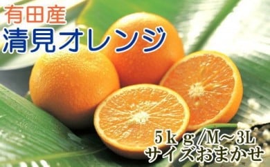 【産直】有田産清見オレンジ約5kg（秀品サイズおまかせ）◇ ※2025年2月上旬～3月下旬頃に順次発送予定