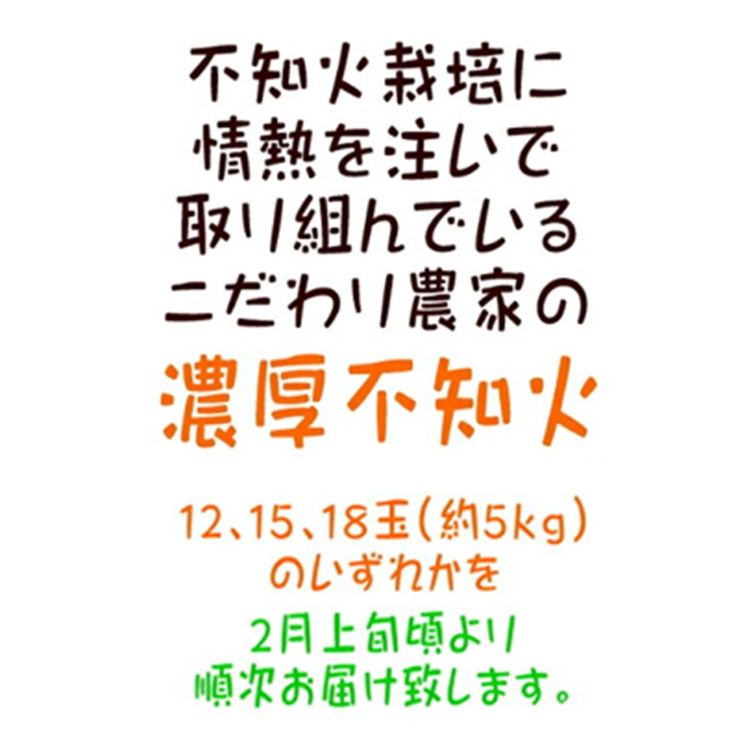 【先行予約】こだわり農家の不知火（しらぬい） 12～18玉（約5kg）※2026年2月上旬～3月下旬頃に順次発送予定 ※北海道・沖縄・離島への配送不可