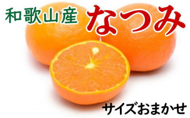 【希少柑橘】和歌山産なつみ約5kg（S～2Lサイズおまかせ）※2024年4月上旬～2024年4月下旬頃に順次発送予定