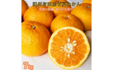 紀州湯浅産　初夏の柑橘　甘夏みかん　7kg　※2025年5月上旬～5月中旬頃に順次発送予定
