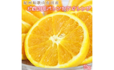 【ご家庭用訳あり】希少な国産バレンシアオレンジ 7kg ※2025年6月下旬～7月上旬頃に順次発送予定