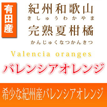 【ご家庭用訳あり】希少な国産バレンシアオレンジ 7kg ※2024年6月下旬～7月上旬頃に順次発送予定
