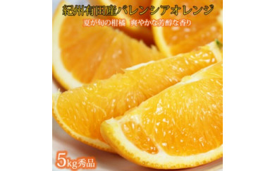 秀品　希少な国産バレンシアオレンジ ５kg ※2024年6月下旬～7月上旬頃に順次発送予定