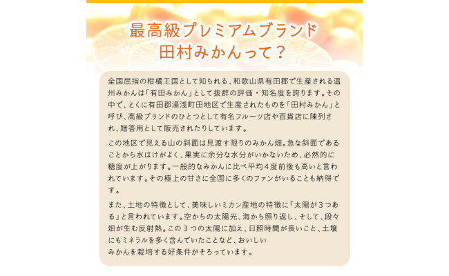 【和歌山特産品】【プレミアムブランド】絶品!田村みかん 約３kg ※北海道・沖縄地域へのお届け不可 ※2021年11月下旬～12月下旬頃に順次発送予定