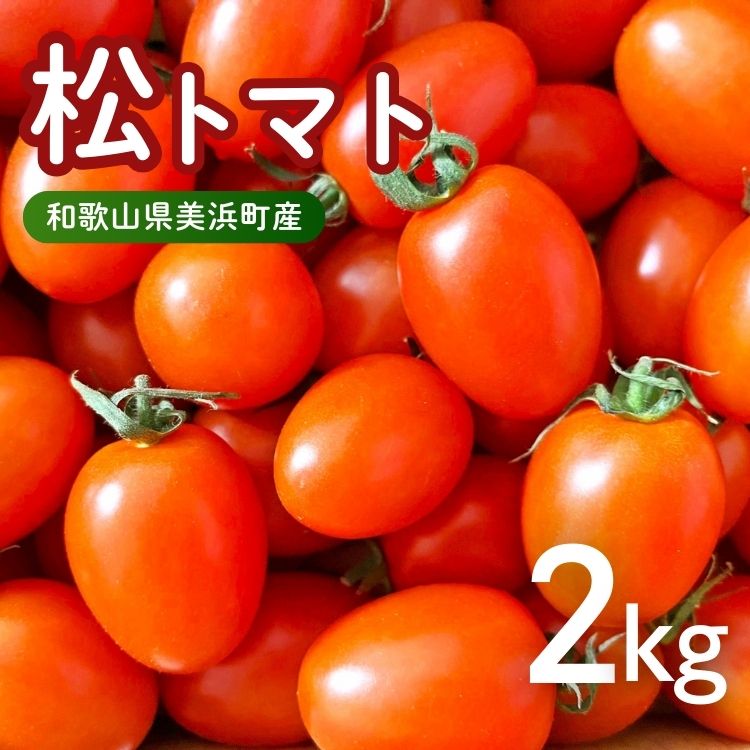 美浜町産　松トマト（アイコ）2Kg｜ミニトマト とまと 野菜 糖度  和歌山 先行予約 やさい トマト アイコ 国産 旬の野菜 特産品 人気 産地直送 美浜町 ※2025年11月下旬～2026年6月上旬頃に順次発送予定
