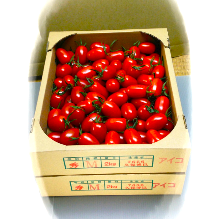美浜町産　松トマト（アイコ）2Kg｜ミニトマト とまと 野菜 糖度  和歌山 先行予約 やさい トマト アイコ 国産 旬の野菜 特産品 人気 産地直送 美浜町 ※2025年11月下旬～2026年6月上旬頃に順次発送予定